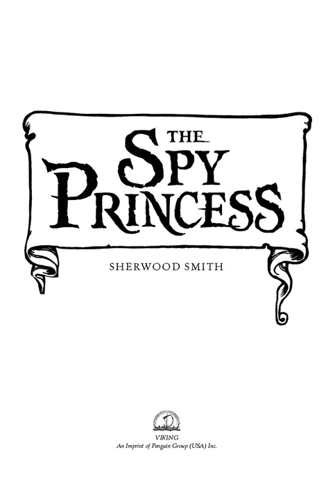 Cover image for book The Spy Princess