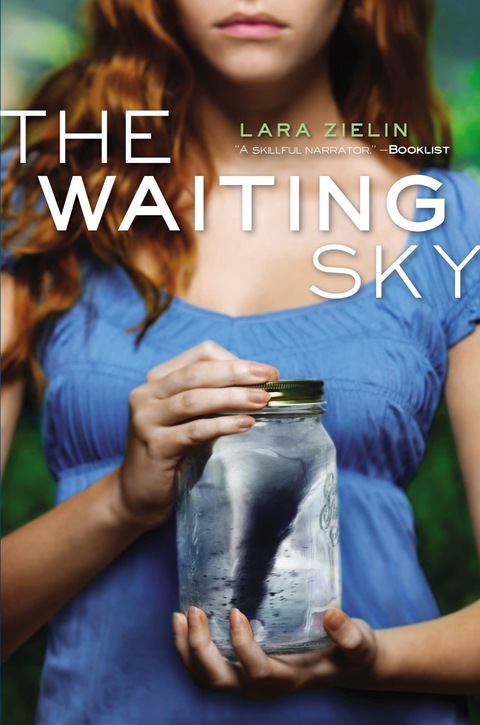 Cover image for book The Waiting Sky