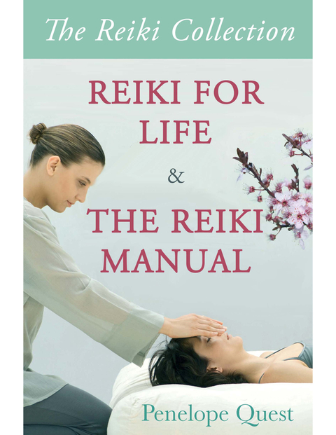 Cover image for book Reiki Collection