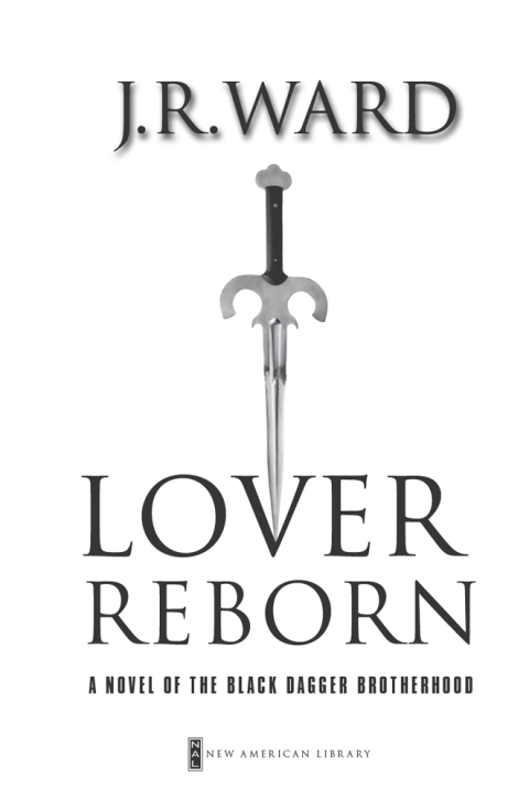 Cover image for book Lover Reborn