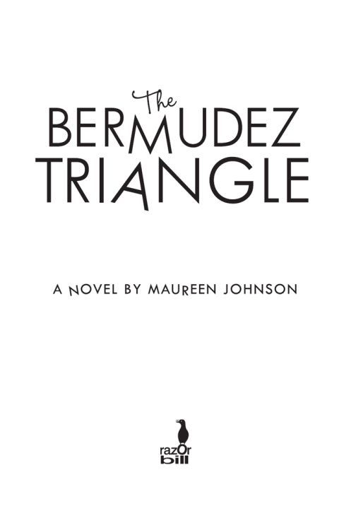 Cover image for book The Bermudez Triangle