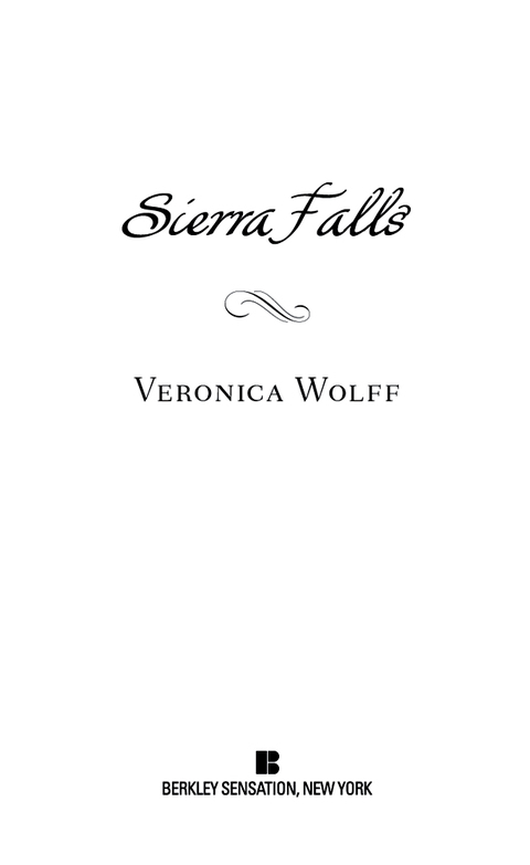 Cover image for book Sierra Falls