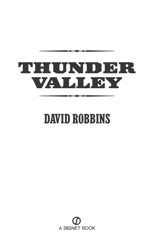 Cover image for book Thunder Valley