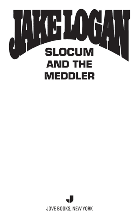 Cover image for book Slocum #399