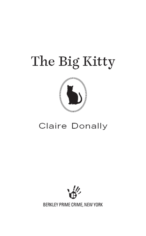 Cover image for book The Big Kitty