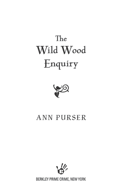 Cover image for book The Wild Wood Enquiry