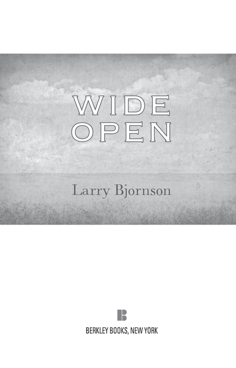 Cover image for book Wide Open