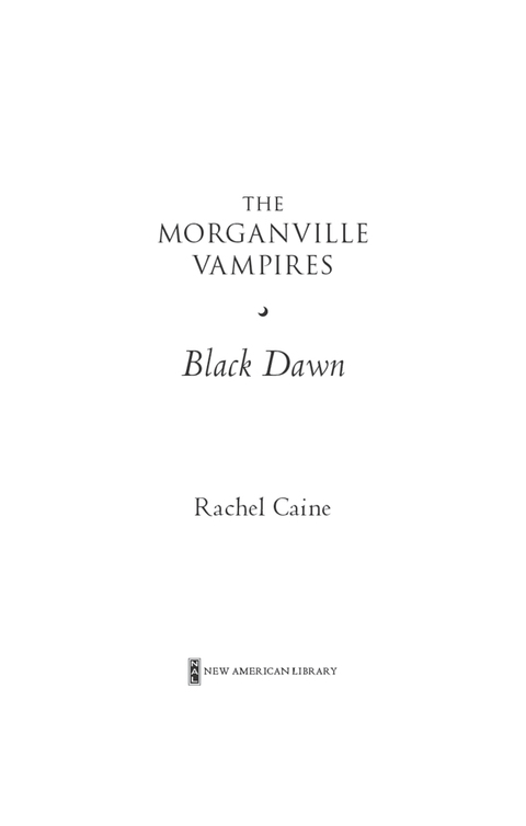 Cover image for book Black Dawn