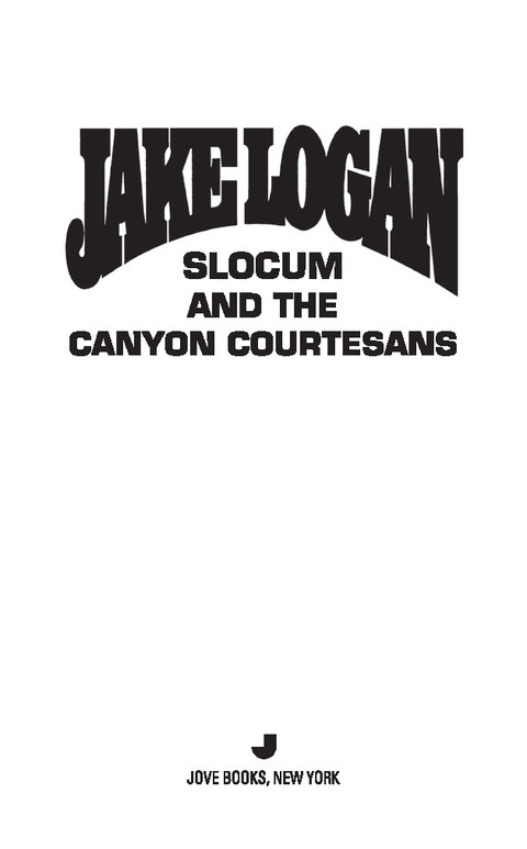 Cover image for book Slocum #400