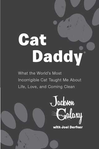 Cat Daddy