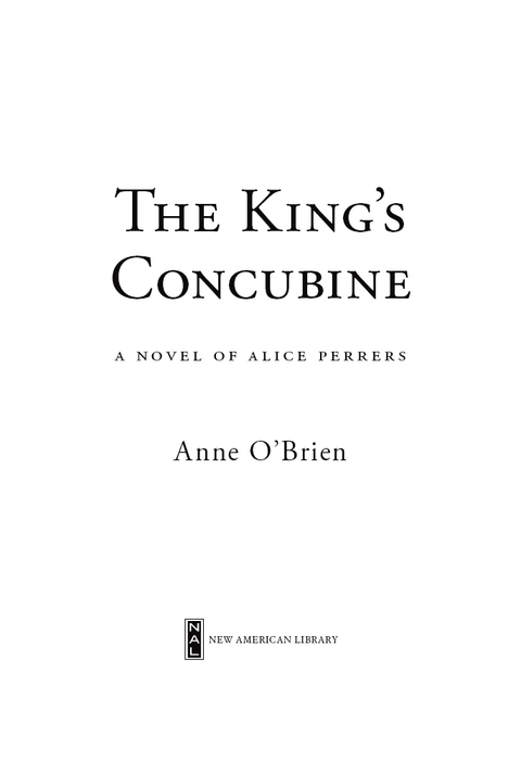 Cover image for book The King's Concubine