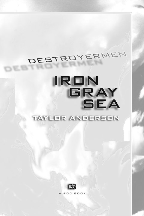 Cover image for book Iron Gray Sea