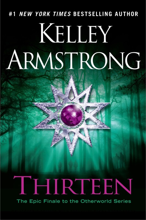 Cover image for book Thirteen