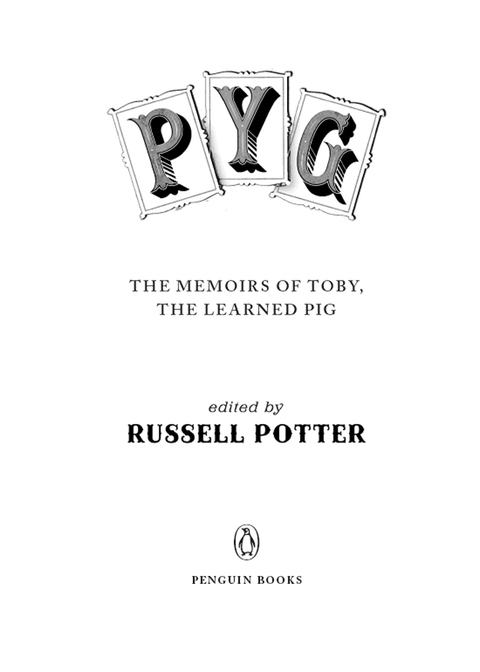 Cover image for book Pyg