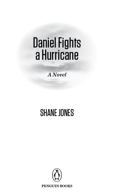 Cover image for book Daniel Fights a Hurricane