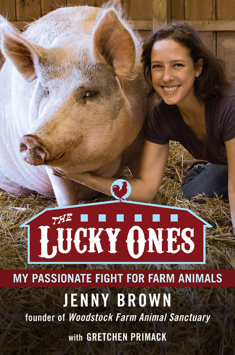 Cover image for book The Lucky Ones