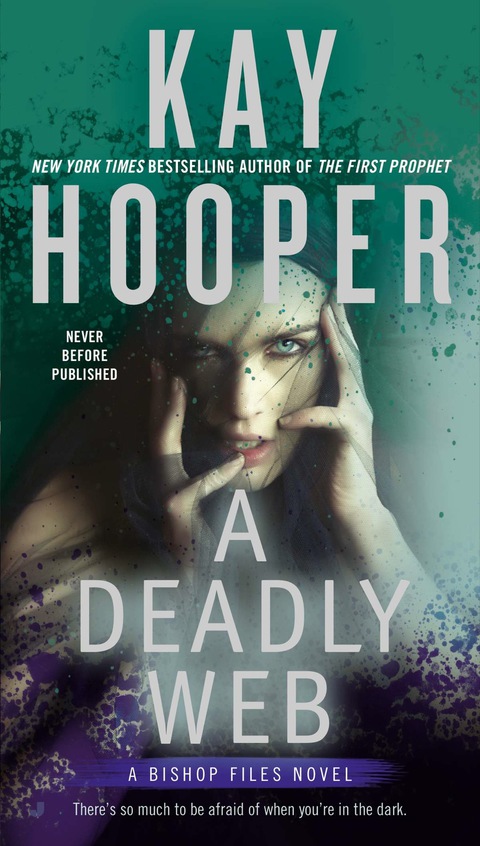 Cover image for book A Deadly Web