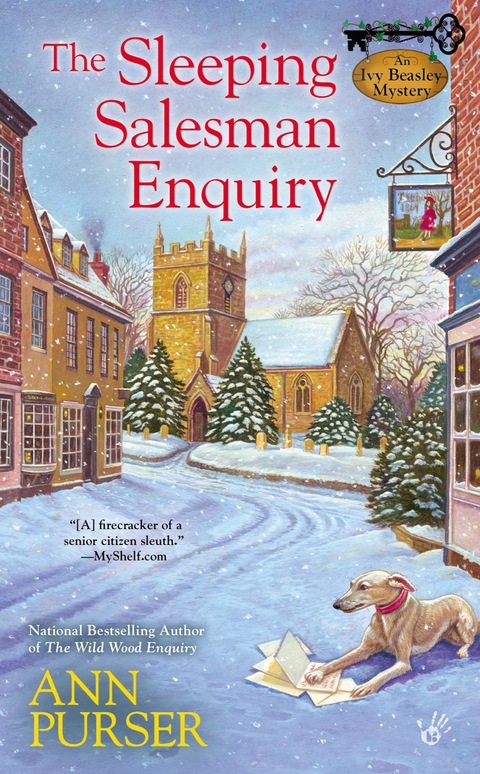 Cover image for book The Sleeping Salesman Enquiry