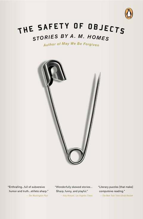 Cover image for book The Safety of Objects