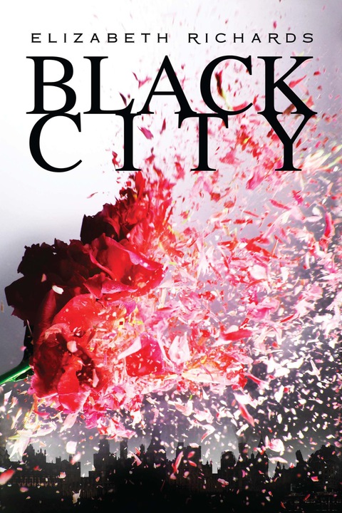 Cover image for book Black City