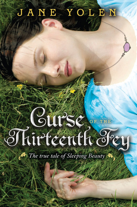 Cover image for book Curse of the Thirteenth Fey