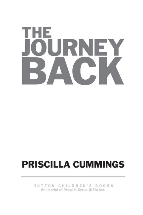 Cover image for book The Journey Back