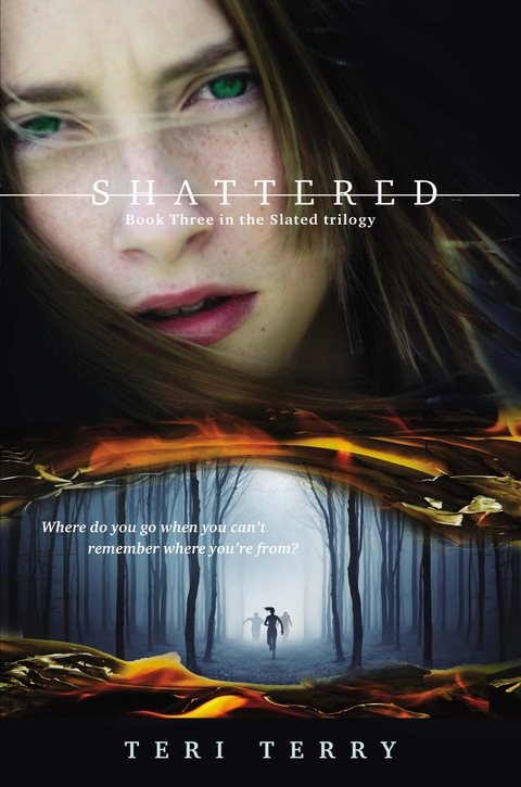 Cover image for book Shattered