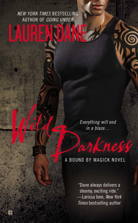 Cover image for book Wild Darkness