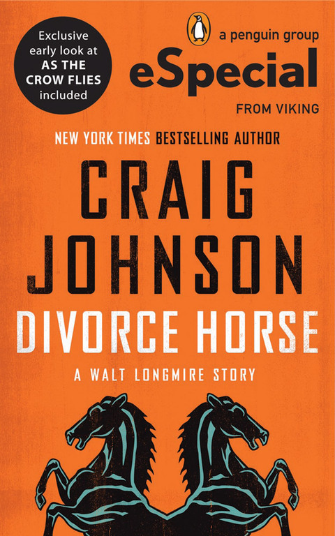 Cover image for book Divorce Horse