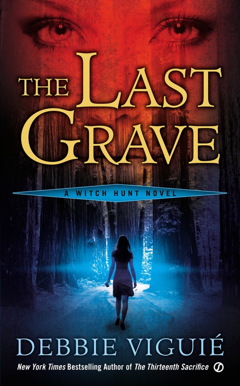 Cover image for book The Last Grave