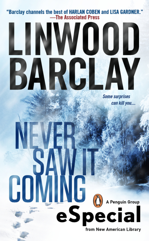 Cover image for book Never Saw It Coming