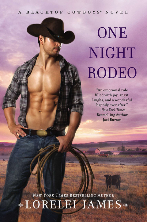 Cover image for book One Night Rodeo