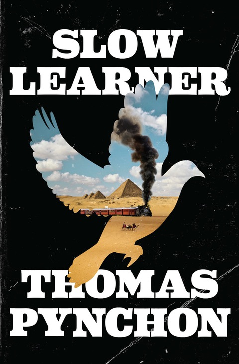 Cover image for book Slow Learner