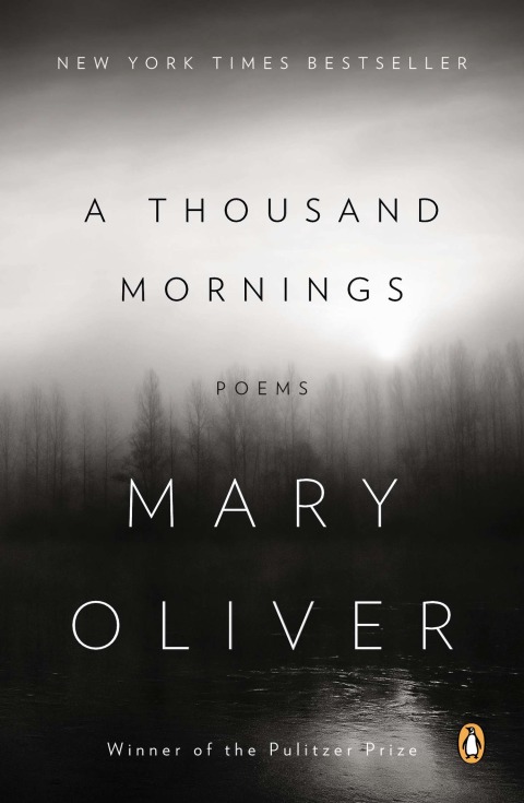 Cover image for book A Thousand Mornings
