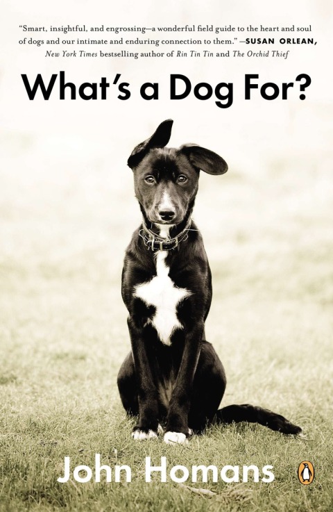 Cover image for book What's a Dog For?
