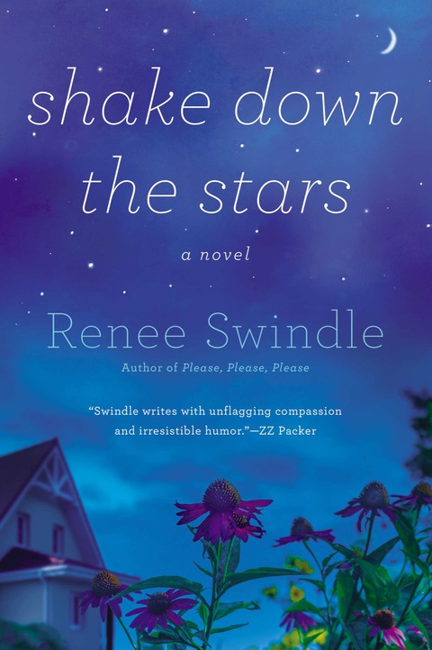 Cover image for book Shake Down the Stars
