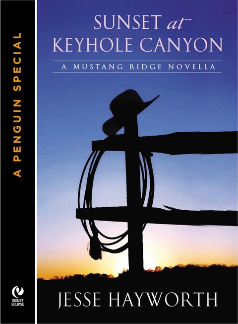 Cover image for book Sunset At Keyhole Canyon