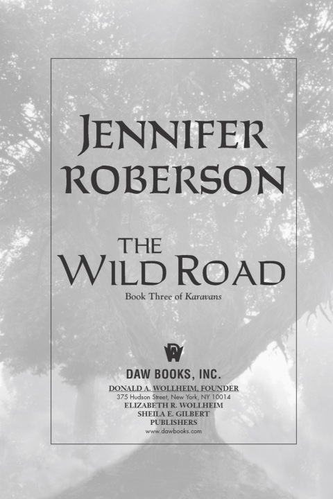 Cover image for book The Wild Road