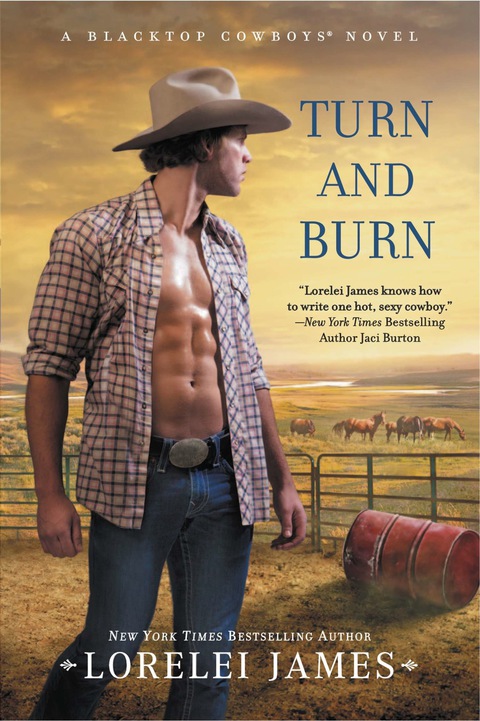 Cover image for book Turn and Burn