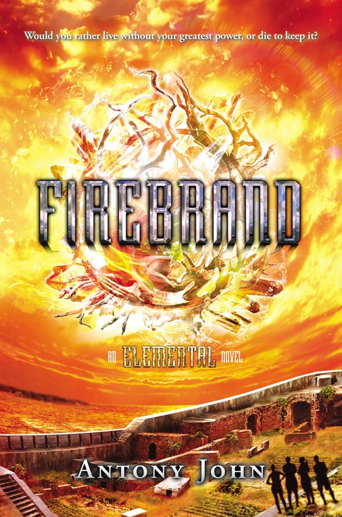 Cover image for book Firebrand