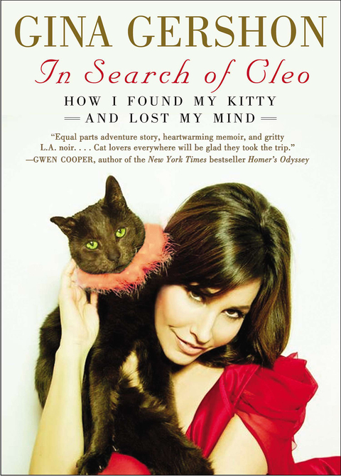 Cover image for book In Search of Cleo
