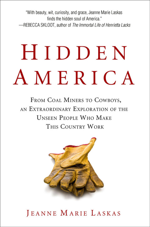 Cover image for book Hidden America