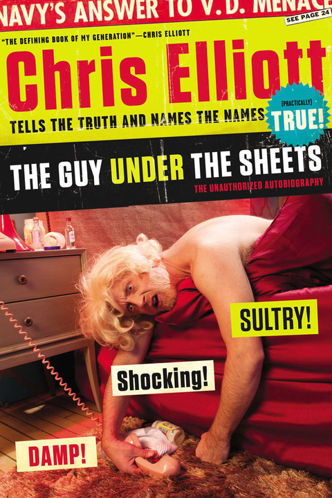 Cover image for book The Guy Under the Sheets