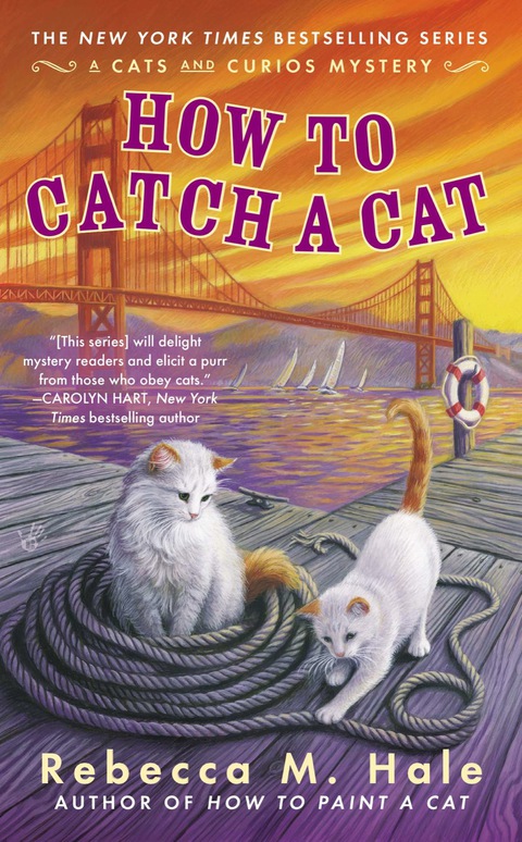 Cover image for book How to Catch a Cat