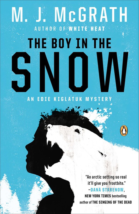 Cover image for book The Boy in the Snow