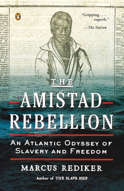 Cover image for book The Amistad Rebellion