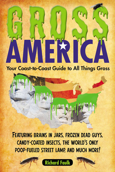 Cover image for book Gross America