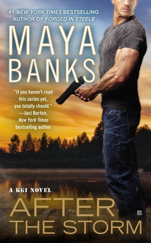 Cover image for book After the Storm