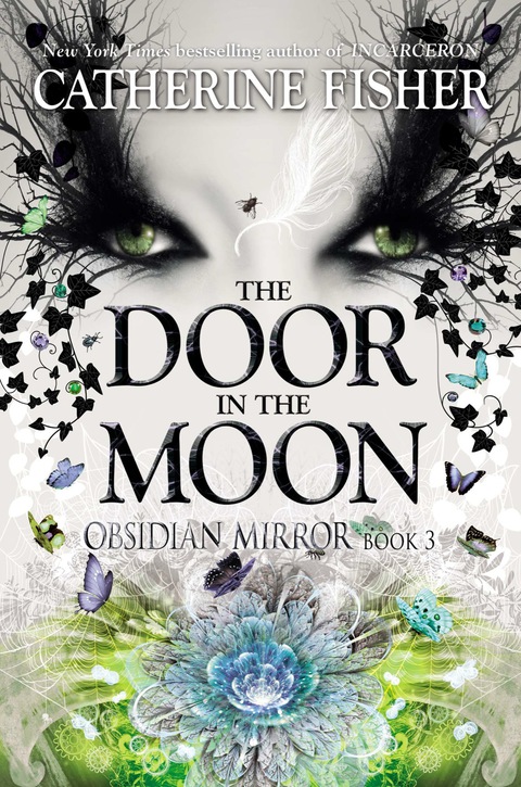 Cover image for book The Door in the Moon