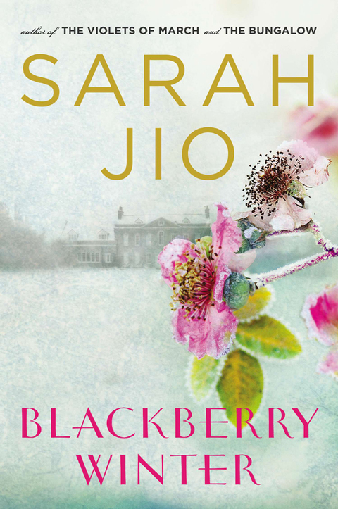 Cover image for book Blackberry Winter